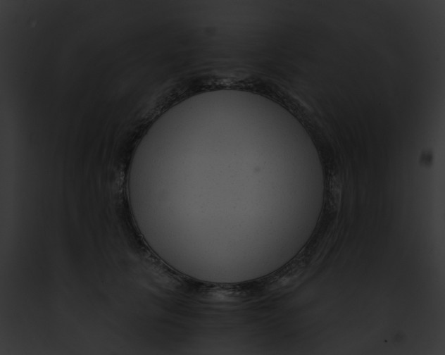 X0000091900657200710031203