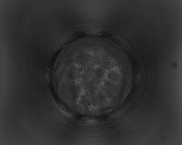 X0000091900658200710031203