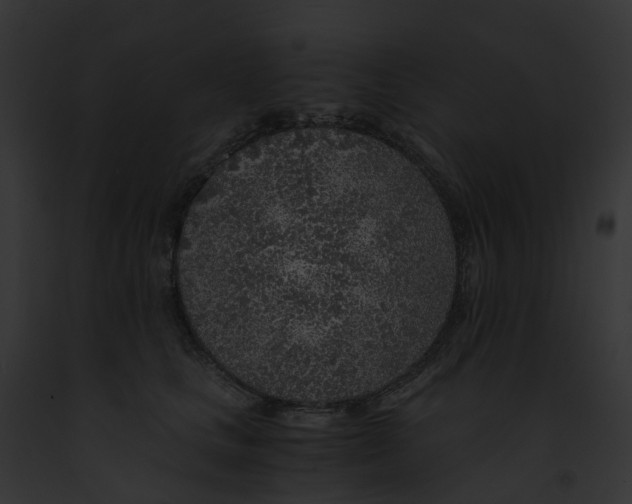 X0000091900661200710031203