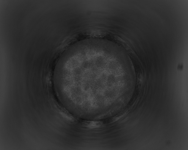 X0000091900663200710031203