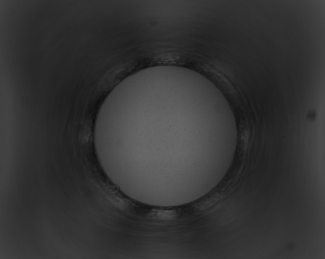 X0000091900665200710031203