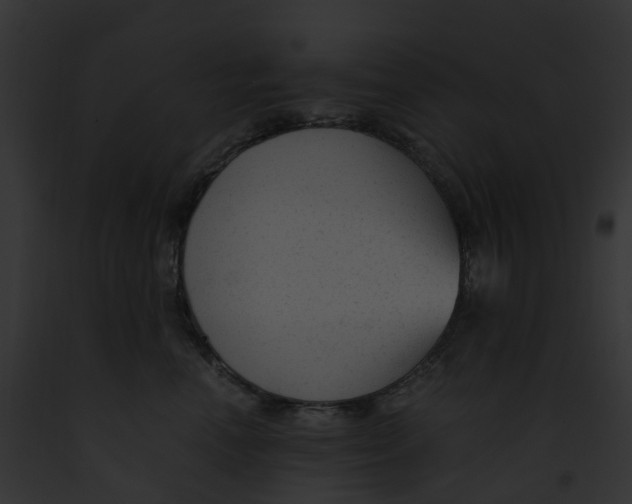 X0000091900666200710031203