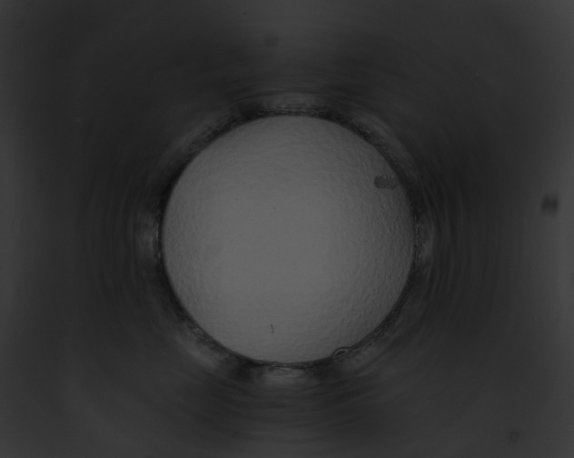 X0000091900669200710031203