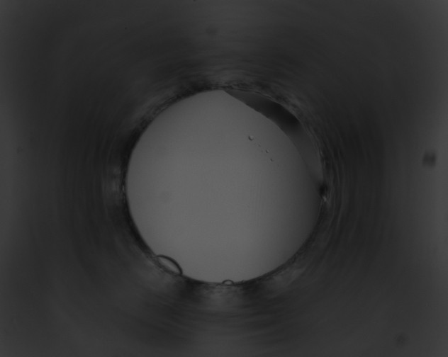 X0000091900670200710031203