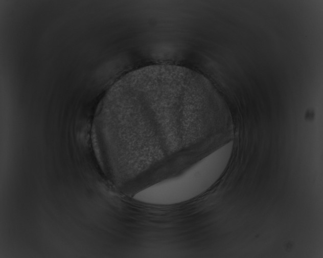 X0000091900671200710031203