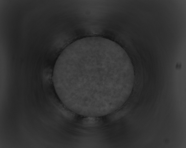 X0000091900672200710031203