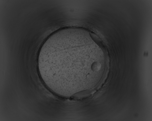 X0000091900673200710031202