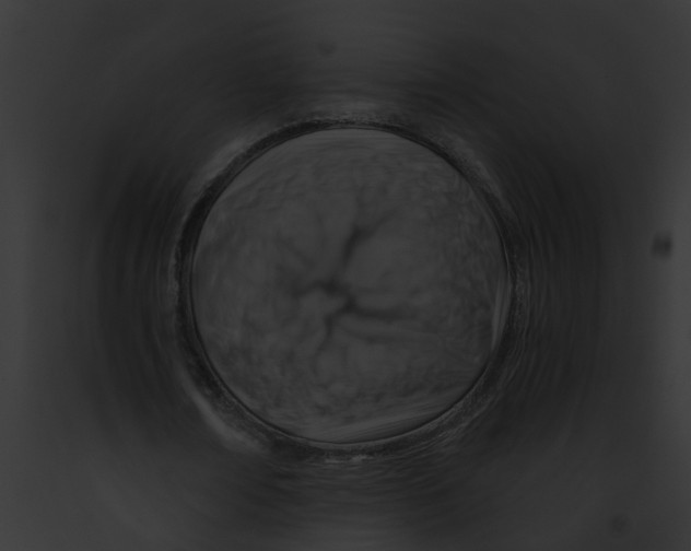 X0000091900674200710031202