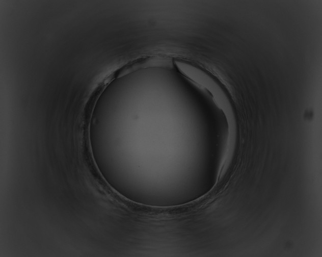 X0000091900675200710031202