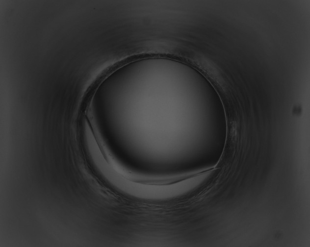 X0000091900676200710031202