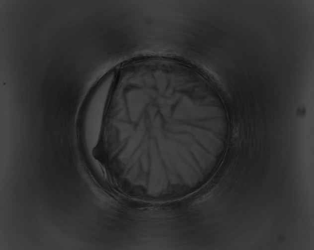 X0000091900678200710031202