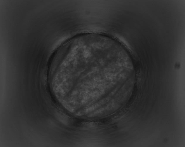 X0000091900679200710031202