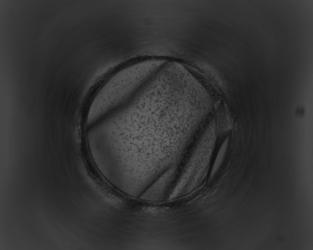 X0000091900680200710031202