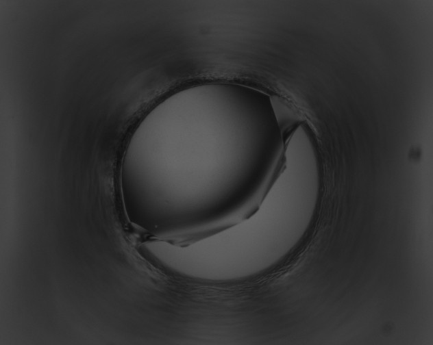 X0000091900681200710031202