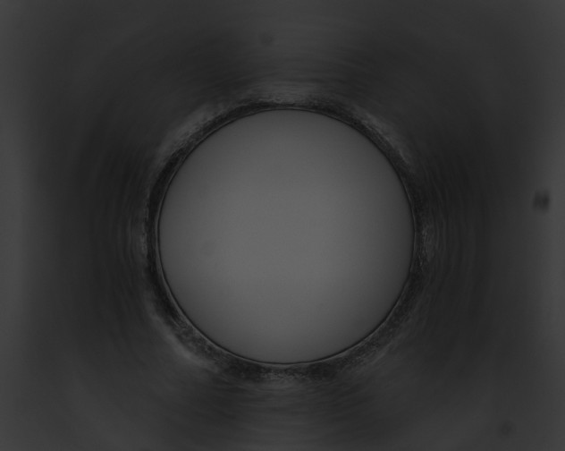 X0000091900682200710031202