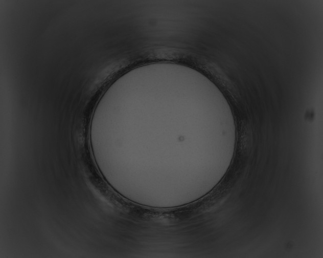 X0000091900683200710031202