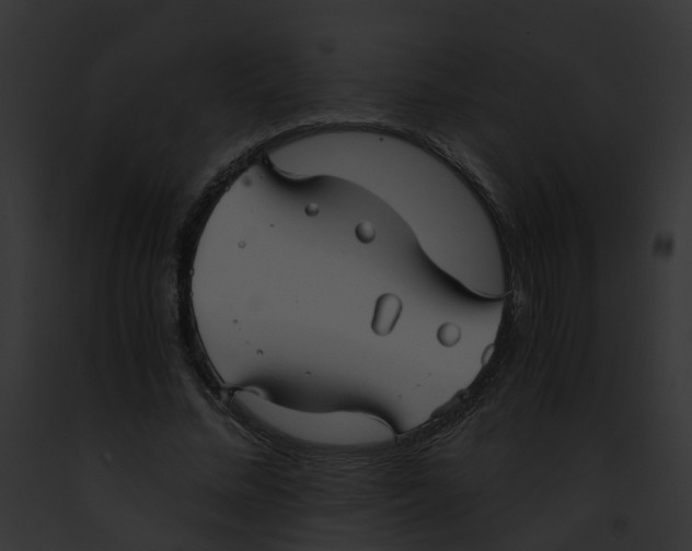 X0000091900684200710031202