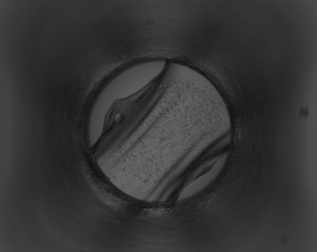 X0000091900688200710031202