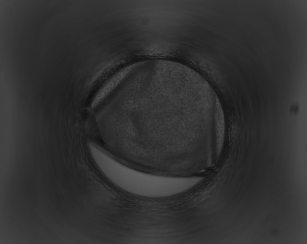 X0000091900689200710031202