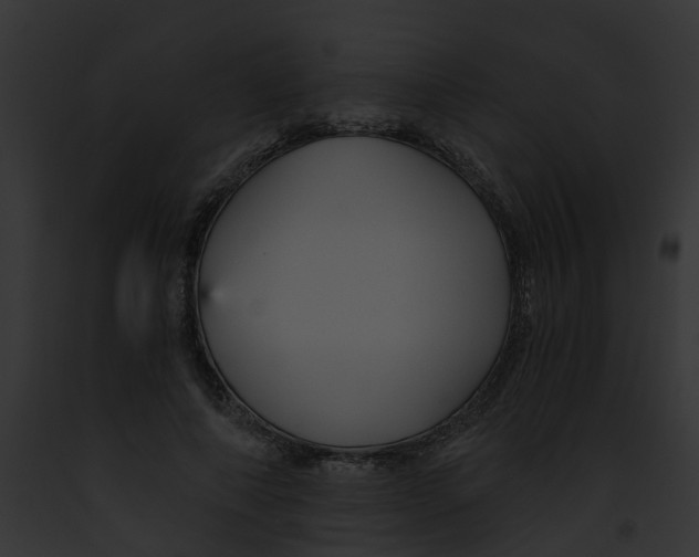 X0000091900690200710031202