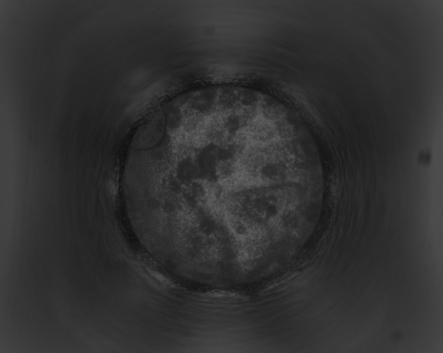 X0000091900691200710031202