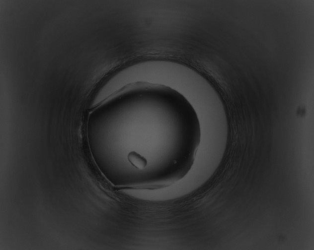 X0000091900692200710031202