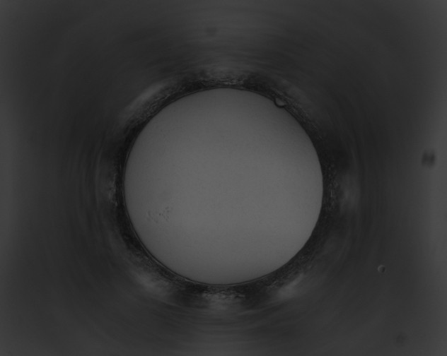 X0000091900693200710031202