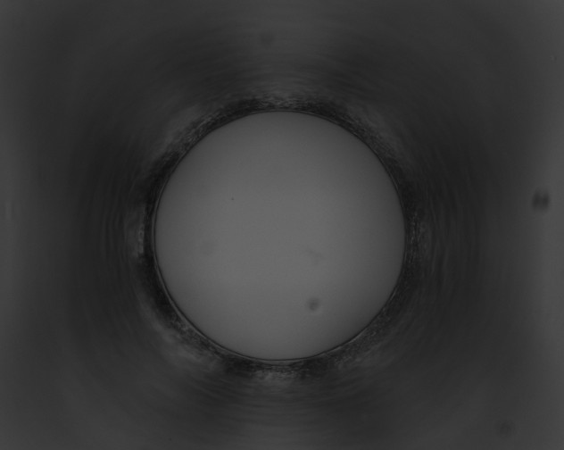 X0000091900694200710031202