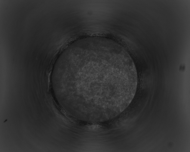 X0000091900695200710031202