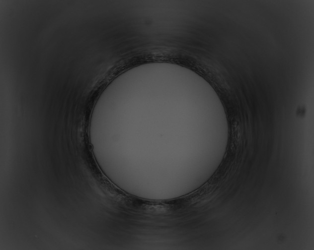 X0000091900698200710031202