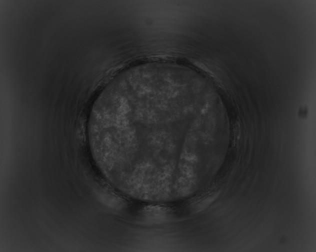 X0000091900699200710031202