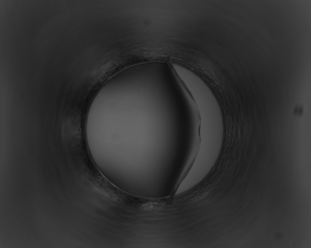 X0000091900700200710031202