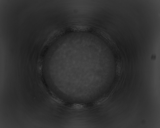 X0000091900701200710031202