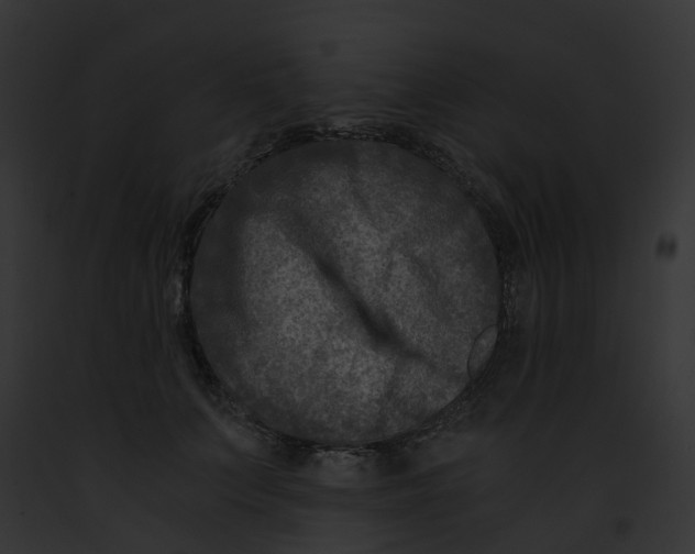 X0000091900703200710031202