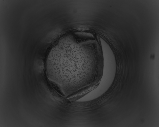 X0000091900704200710031202