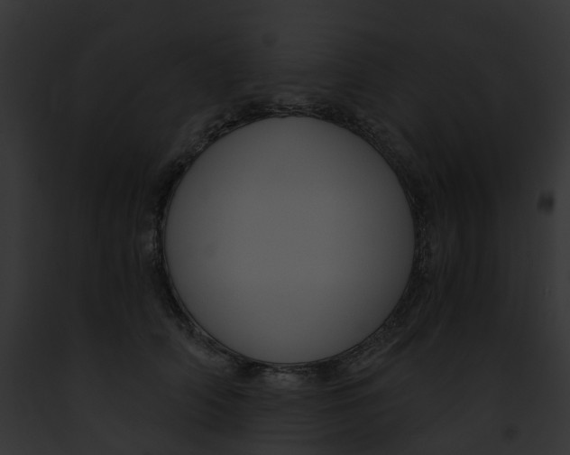 X0000091900706200710031202