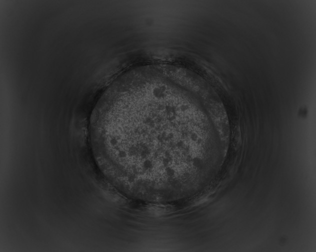 X0000091900707200710031202