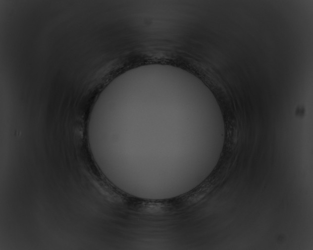 X0000091900710200710031202