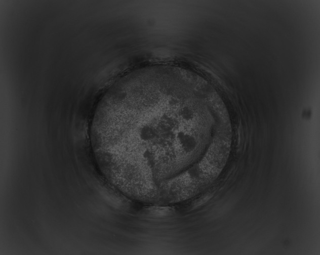 X0000091900711200710031202