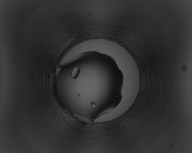 X0000091900712200710031202