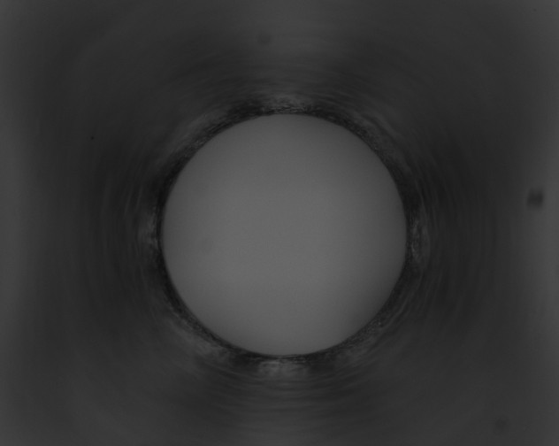 X0000091900714200710031202