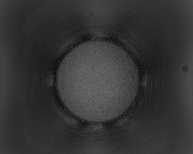 X0000091900715200710031202