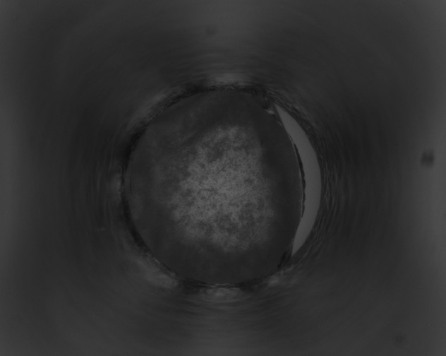 X0000091900716200710031202