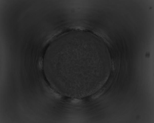 X0000091900718200710031202