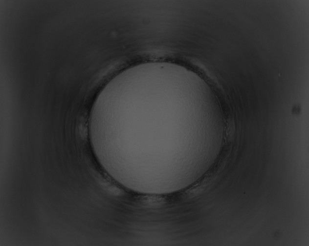 X0000091900719200710031202