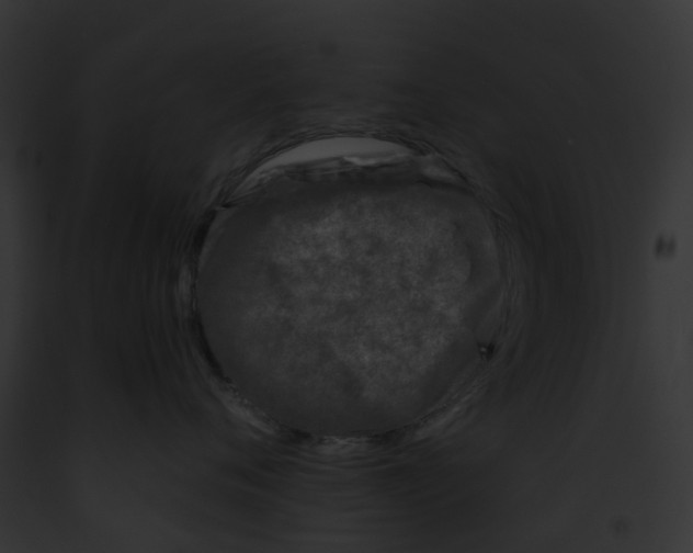 X0000091900720200710031202