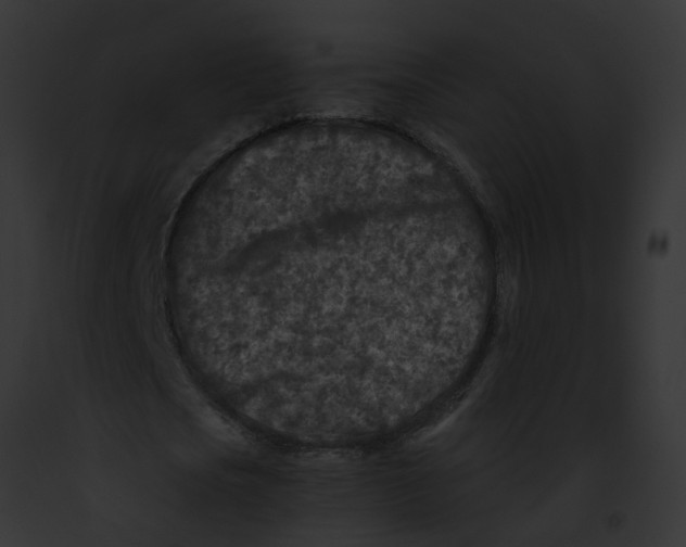 X0000091900721200710031201