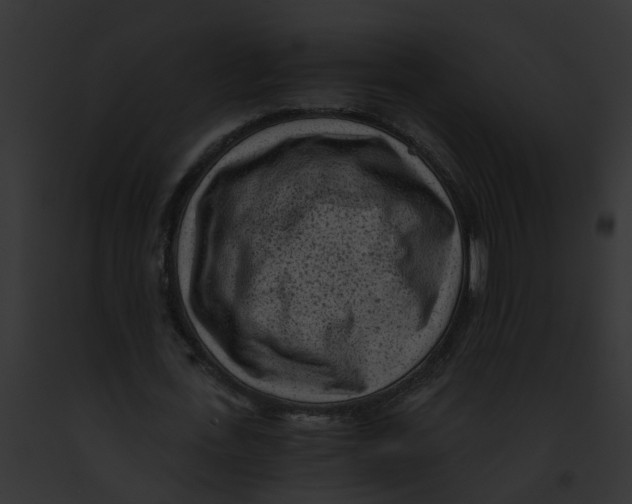 X0000091900723200710031201