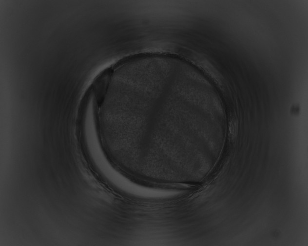 X0000091900724200710031201