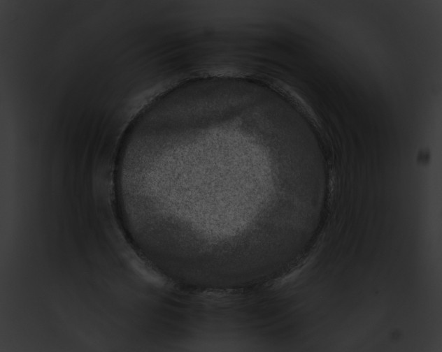 X0000091900725200710031201